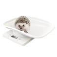 thumbnail image 2 of Báscula Digital Para Mascotas, Báscula De Cocina, Báscula Electrónica LCD Multifunción, Báscula De Peso De 10kg, Suministros Para Mascotas, 2 of 7