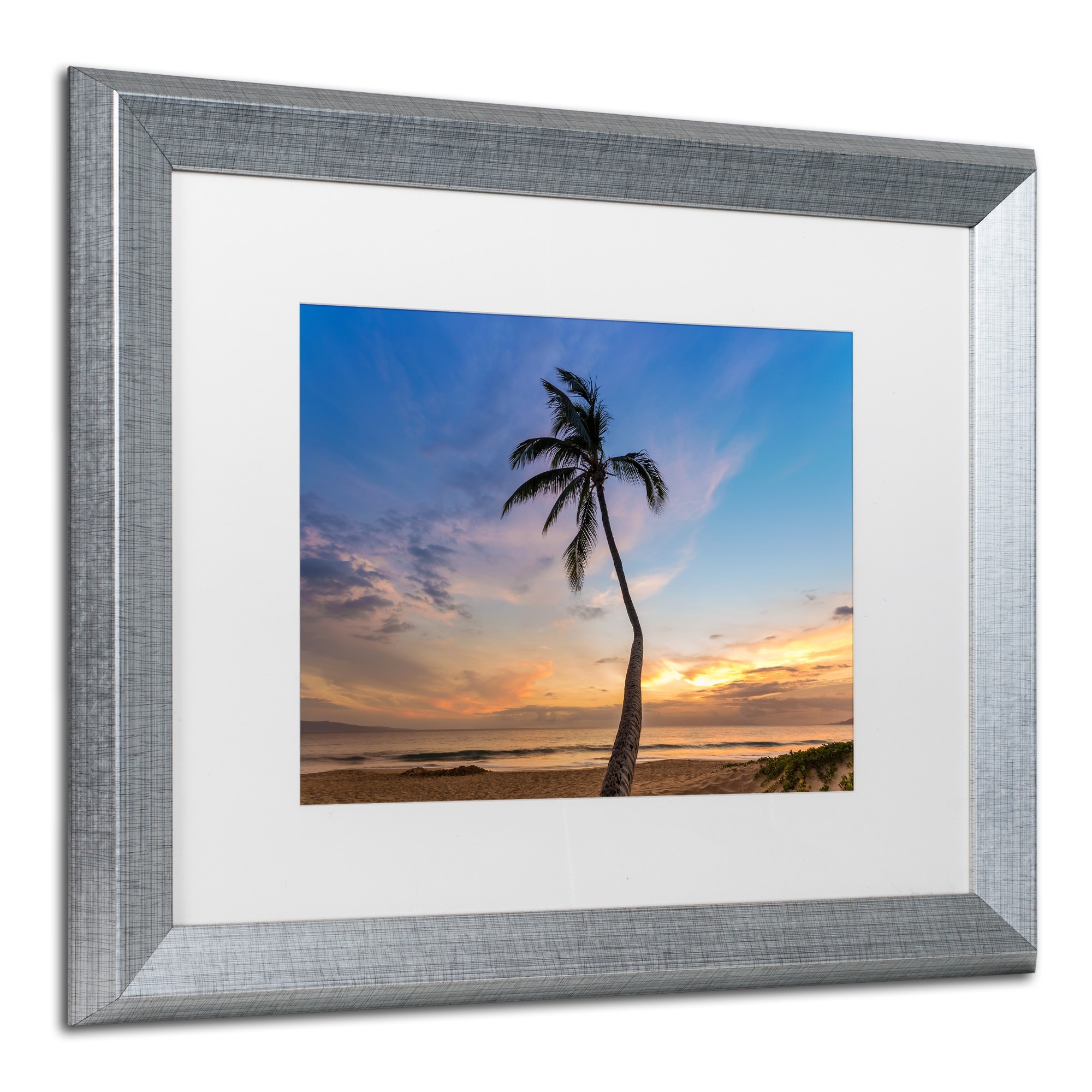 Trademark Fine Art 'Sunset Palm Tree' Canvas Art by Pierre Leclerc, White Matte, Silver Frame