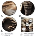 thumbnail image 3 of Designart "Elephant Portrait Monochrome I" Animals Metal Wall Art, 3 of 5
