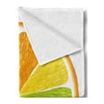 thumbnail image 2 of Colorful Soft Flannel Fleece Throw Blanket, Rainbow Colored Orange Fresh Fruit Citrus Winter Season Food Diversity Equality, Cozy Plush for Indoor and Outdoor Use, 50" x 70", Multicolor, by Ambesonne, 2 of 5