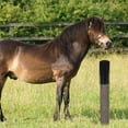 thumbnail image 4 of BRIGHTFUFU 2Ud De Rascado Flexible Para Vacas Y Cabras Color Negro, 4 of 6