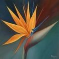 thumbnail image 2 of Rhyan, Vivien 15x15 White Modern Wood Framed Museum Art Print Titled - Bird of Paradise I, 2 of 4