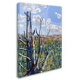 thumbnail image 3 of Trademark Fine Art "Hockley Valley" Canvas Art by Mandy Budan, 3 of 4