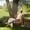 Carbonized, variant on Outsunny Wooden Porch Swing 3-Seater, 5 FT Outdoor Patio Swing Bench with Cupholders, Carbonized