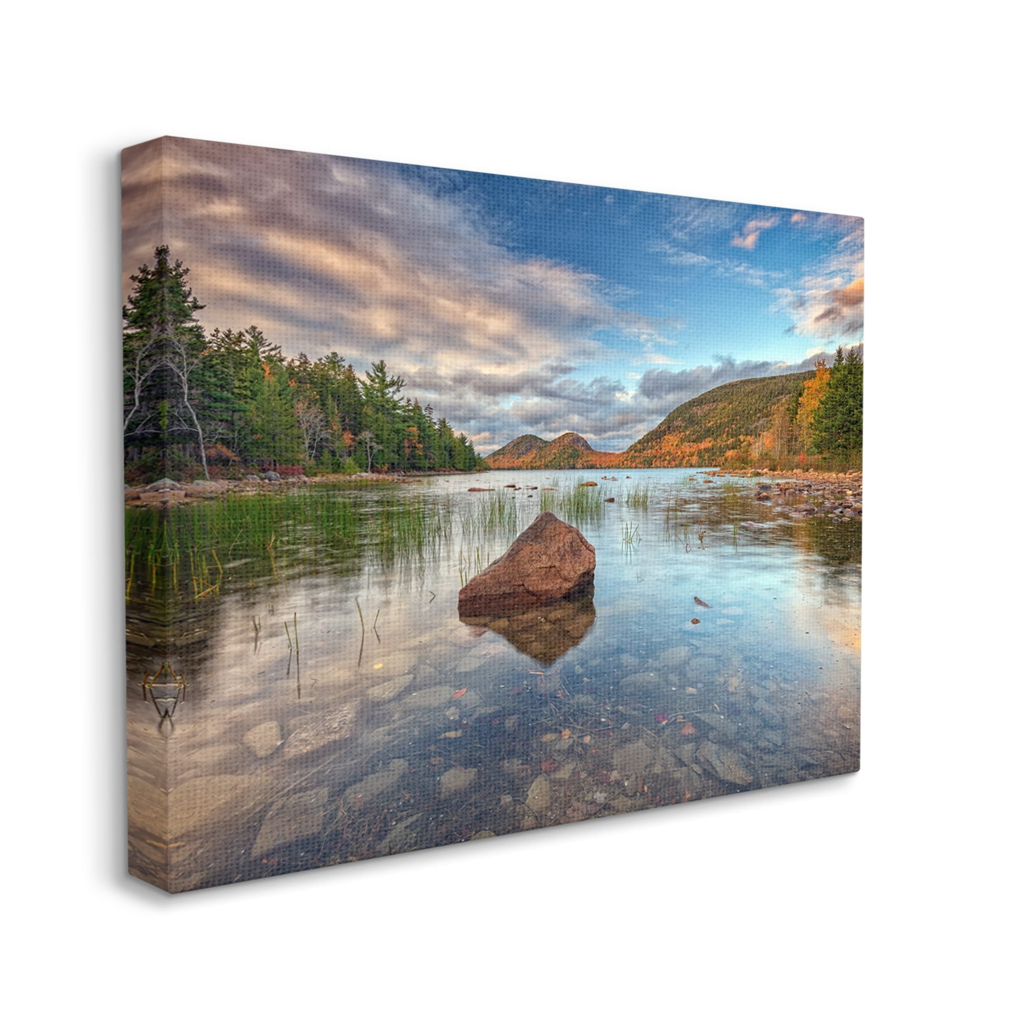 Stupell Rocky Creek Woodland Scenery Landscape Photography Gallery Wrapped Canvas Print Wall Art