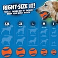 thumbnail image 6 of Chuckit! Ultra Fetch Rugged Rubber Dog Ball Tug Toy, for Dogs 20-60 lb, Medium, Orange, 6 of 9