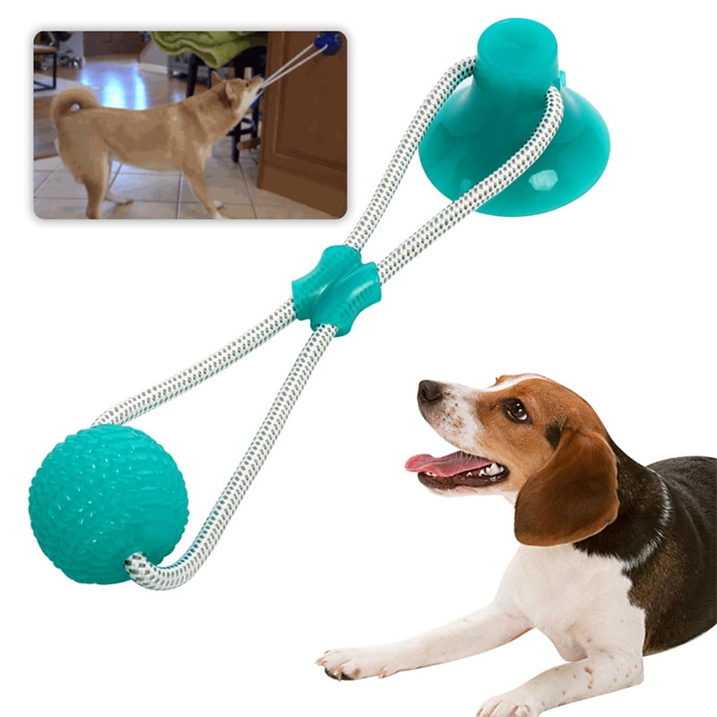 suction floor dog toy