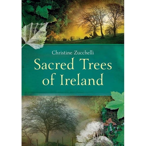 Sacred Trees of Ireland Christine Zucchelli (Paperback)
