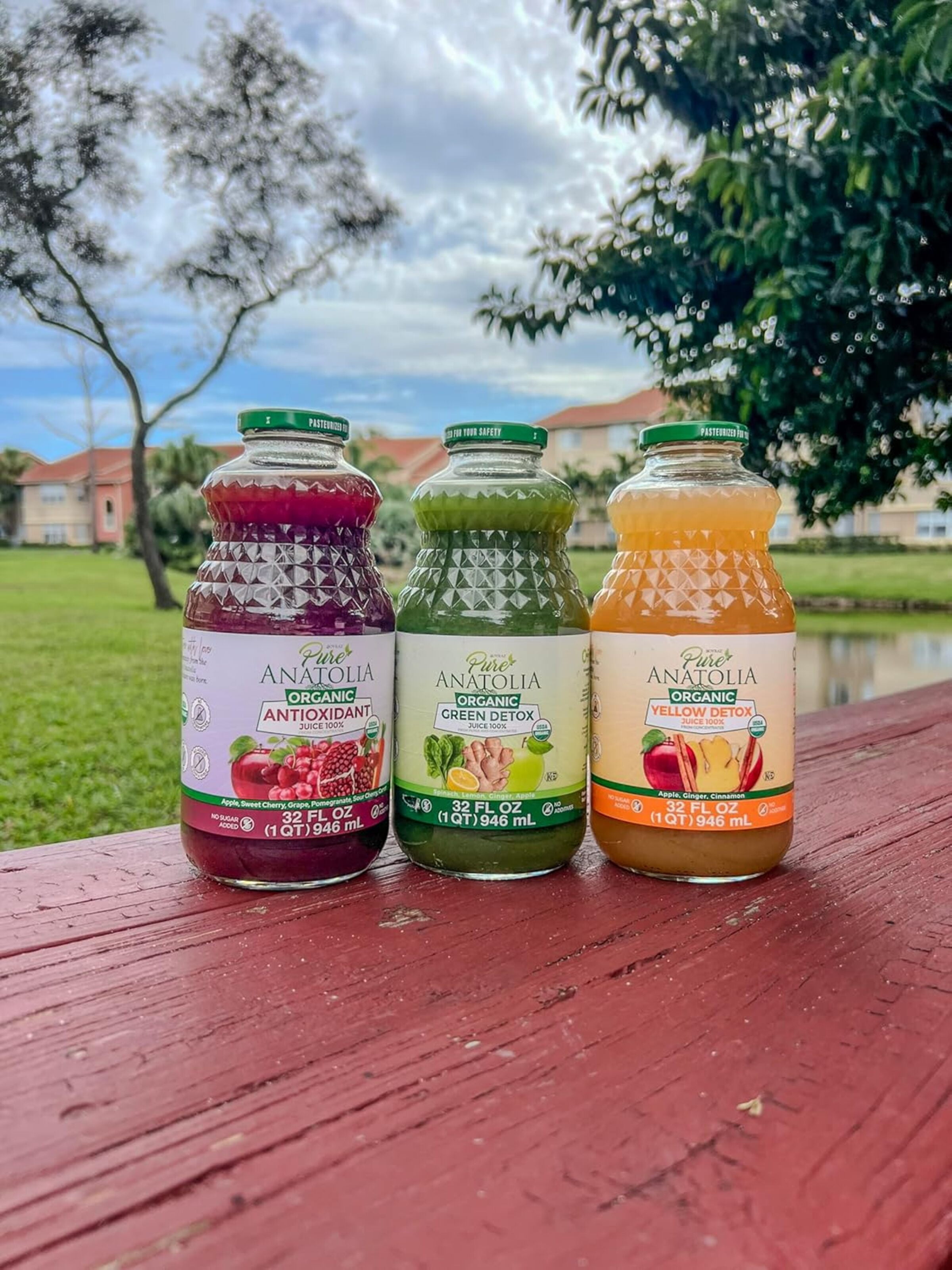 (6 pack) Pure Anatolia  Organic Antioxidant Detox Juice, 32 Fl Oz Glass Bottle