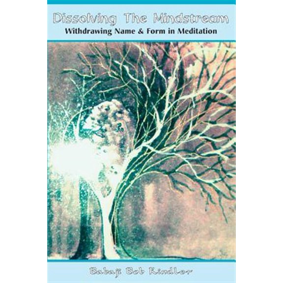 Pre-Owned Dissolving the Mindstream: Withdrawing Name & Form in Meditation Paperback