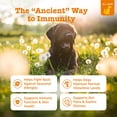 thumbnail image 3 of Zesty Paws Ancient Elements Allergy & Immune Bites Bison Flavor, 90 Count, 3 of 11