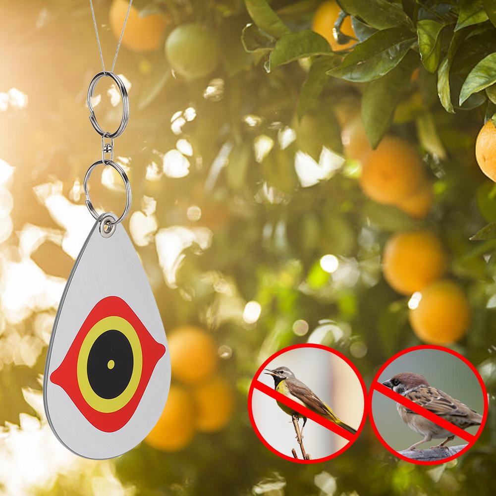 Tebru Courtyard Decoration,5Pcs Eye Pattern Reflective Bird Repellent