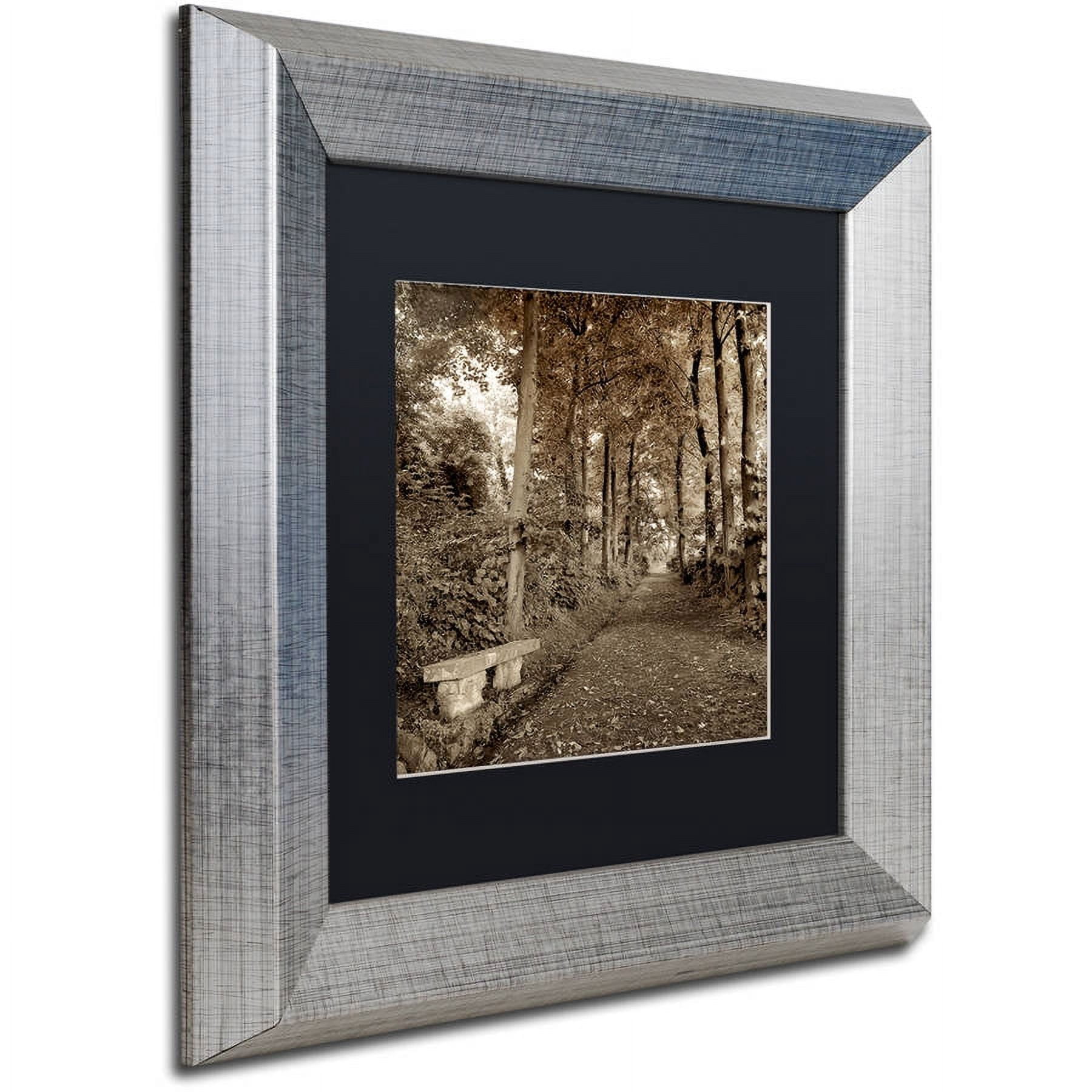 Trademark Fine Art "Fiesole Giardini II" Canvas Art by Alan Blaustein, Black Matte, Silver Frame