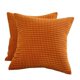 thumbnail image 1 of Dinheiro Fundas de Almohada Decorativas, Juego de 2 Fundas de Almohada Lumbares de Pana Suave, Funda de cojín para decoración del hogar para sofá, Cama, sofá, Dormitorio, Coche, 1 of 6
