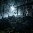 thumbnail image 2 of Halloween Horror Gauze Fabric, Spooky Creepy Cloth Party Supply, Wall Courtyard Entrance Porch Decor, Halloween Prop for Halloween Party Decoration, 2 of 6