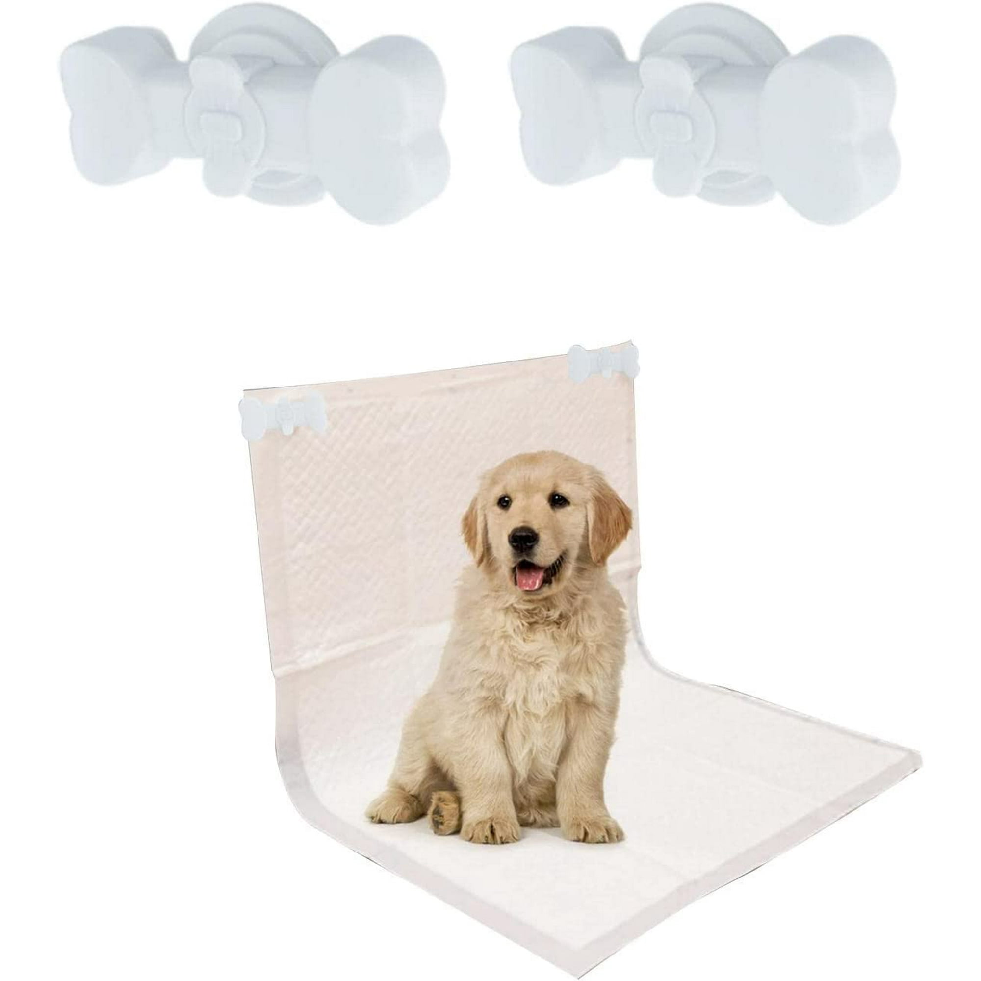 How Do I Teach My Dog To Lift His Leg To Pee