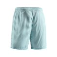 thumbnail image 5 of Mens Shorts Casual Striped Drawstring Spring Summer Outdoor Printed Beach Holiday Running Shorts Men With Pockets, 5 of 7