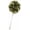 Pack of 1 Pin Avocado Green [Camellia], variant on Gentleman's Essentials Premium Handmade Flower Lapel Pin Boutonniere