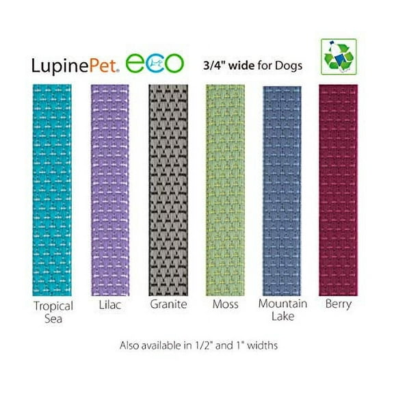 Martingale Dog Collar by Lupine ECO Collection 3/4" Wide Moss adjusts 14" to 20"