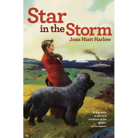 Star in the Storm (Hardcover)