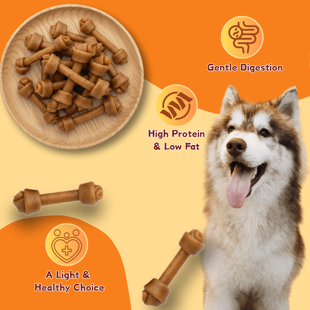 Tender Touch Peanut Butter Flavor Dog Treats, Crunchy Oven-Baked Biscuits Made with Real Peanut Butter, All-Natural and Wholesome Snack, 1.76 Pound oz Bag