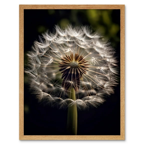 Dandelion Flower Pappus Macro Photograph Dark Close Up Detail Art Print Framed Poster Wall Decor 12x16 inch