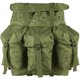 thumbnail image 1 of Paquete mediano Alice Field - Olive Drab, 1 of 1