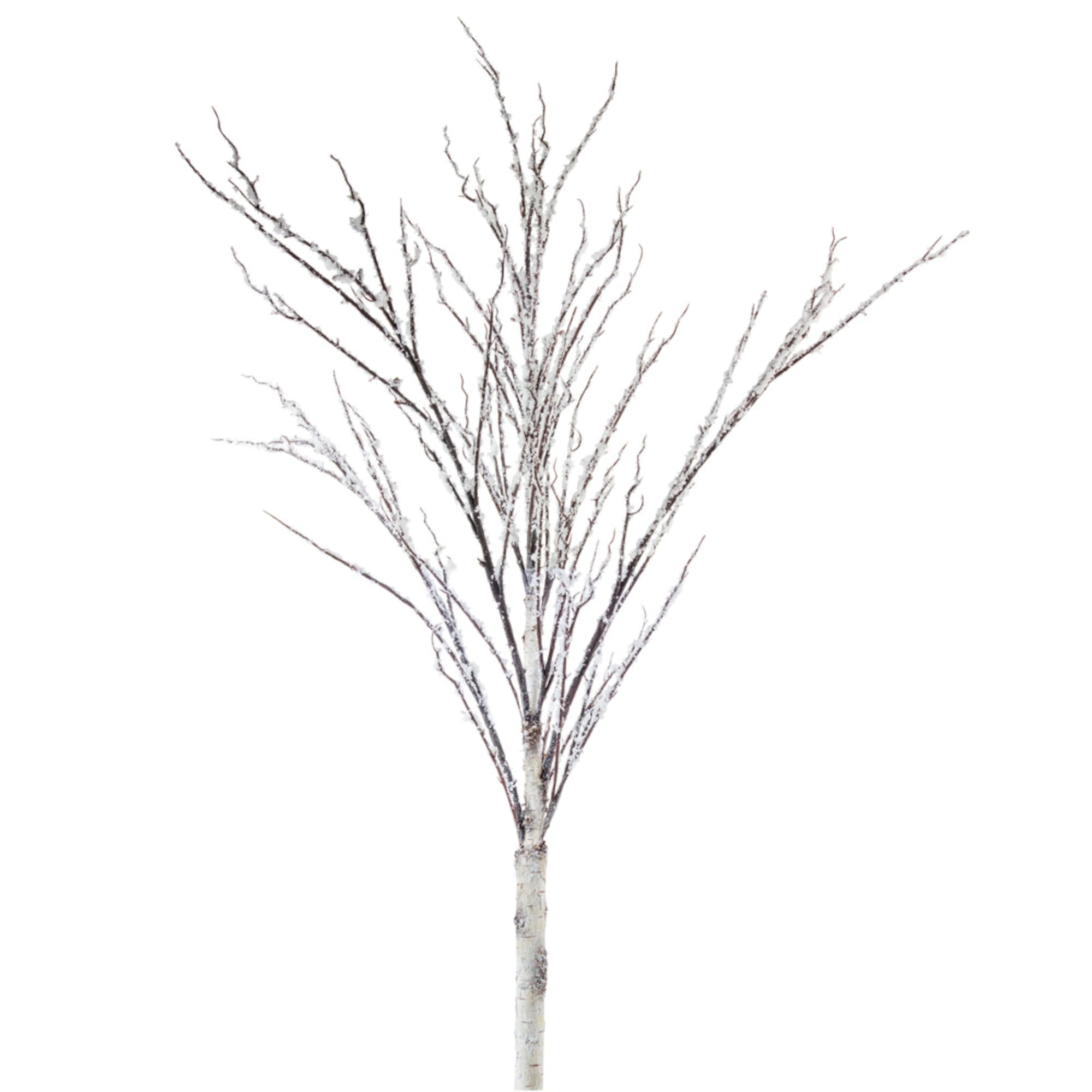 Set of 4 Frosted White and Brown Icy Birch Branches 50"