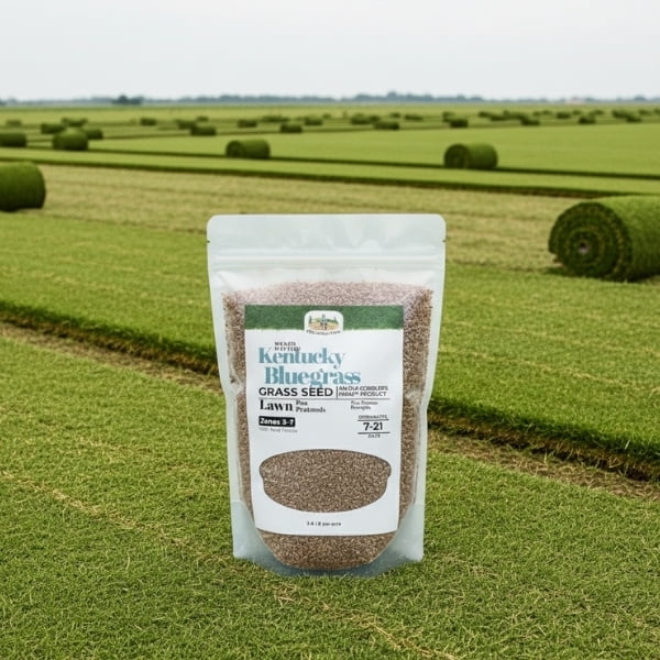Old Cobblers Farm™ Wicked Tuff Turf Kentucky Bluegrass, 10lbs