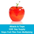 Raid Fruit Fly Apple Design Traps, Food Base Lure (6 Traps Total), 3 Pack