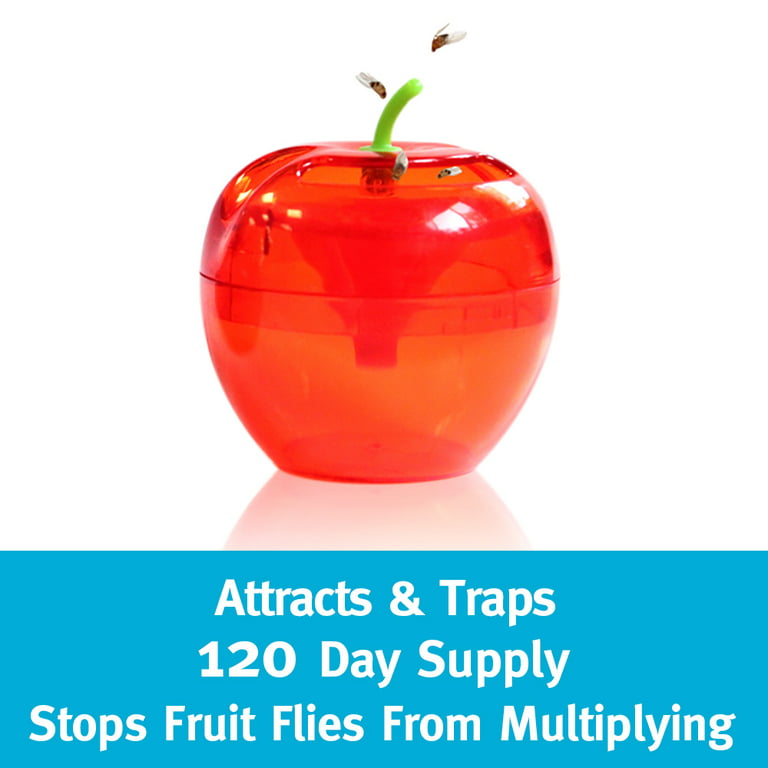 Generic (6PCS)8 Packs Fruit Fly Traps For Kitchens Flexible Fruit