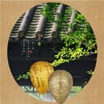 thumbnail image 5 of Natural Wasp Deterrent Hives Pack of 3 - Protect Your Yard From Territorial Wasps, 5 of 8