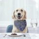 thumbnail image 3 of 4 Pieces Bandana For Dog Adjustable Dog Cat Puppy Bandana Pet Neckerchief For Small And Medium -sized, 3 of 5