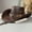 Brown, variant on Vintage Western Cowboy Hat Ox Head Belt Rivet Fedora Hats for Men Women Outdoor Travel Wide Brim Faux Leather Cowgirl Sun Caps