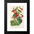 thumbnail image 2 of Charles Antoine Lemaire 13x18 Black Modern Framed Museum Art Print Titled - Tydaea (1854-1896), 2 of 5
