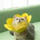 thumbnail image 2 of 3 piezas de collar de recuperación para gatos, conos de protección para gatos, cono de girasol para gatos, antilamidos (rosa, naranja, amarillo) (S), 2 of 5