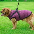 thumbnail image 2 of PATIO_PEACE_INC Pet Dog Jacket With Harness Windproof Winter Pet Dog Padded Coat Clothes, 2 of 6