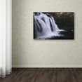 thumbnail image 3 of Trademark Fine Art "Evanescence" Canvas Art by Mathieu Rivrin, 3 of 3