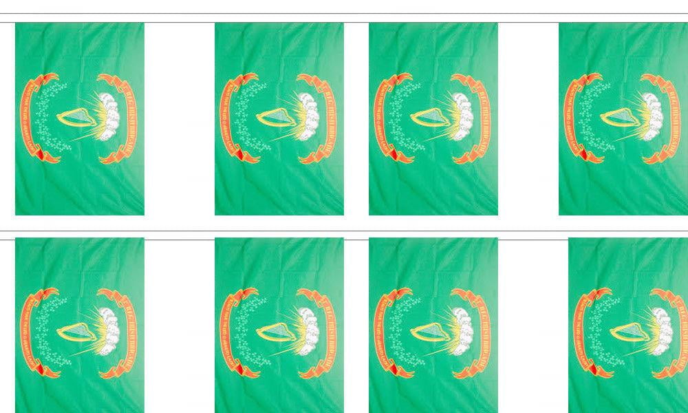 8 Flags 1st Irish Brigade Ireland 12x18 Bunting String Flag Banner 