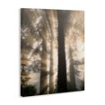 thumbnail image 2 of Stupell Industries Farmhouse Sun Rays Woodland Trees View Canvas Art, 30 x 40, by Dennis Frates, 2 of 7