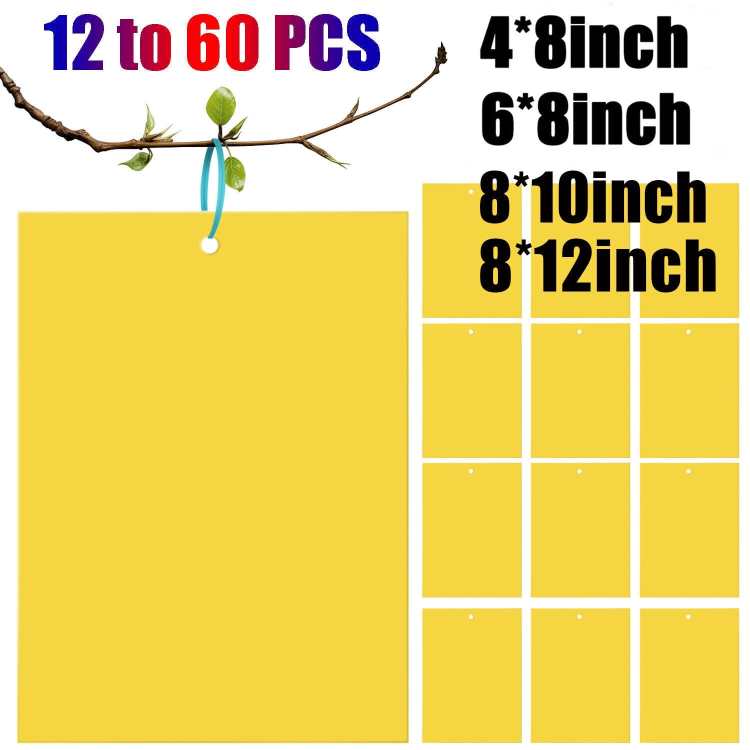 Elegant Choise 60 PCS Sticky Fly Traps Gnat Trap Flies Insect Glue Catcher w/ Hanging Ropes