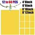 thumbnail image 2 of Elegant Choise 60 PCS Sticky Fly Traps Gnat Trap Flies Insect Glue Catcher w/ Hanging Ropes, 2 of 13