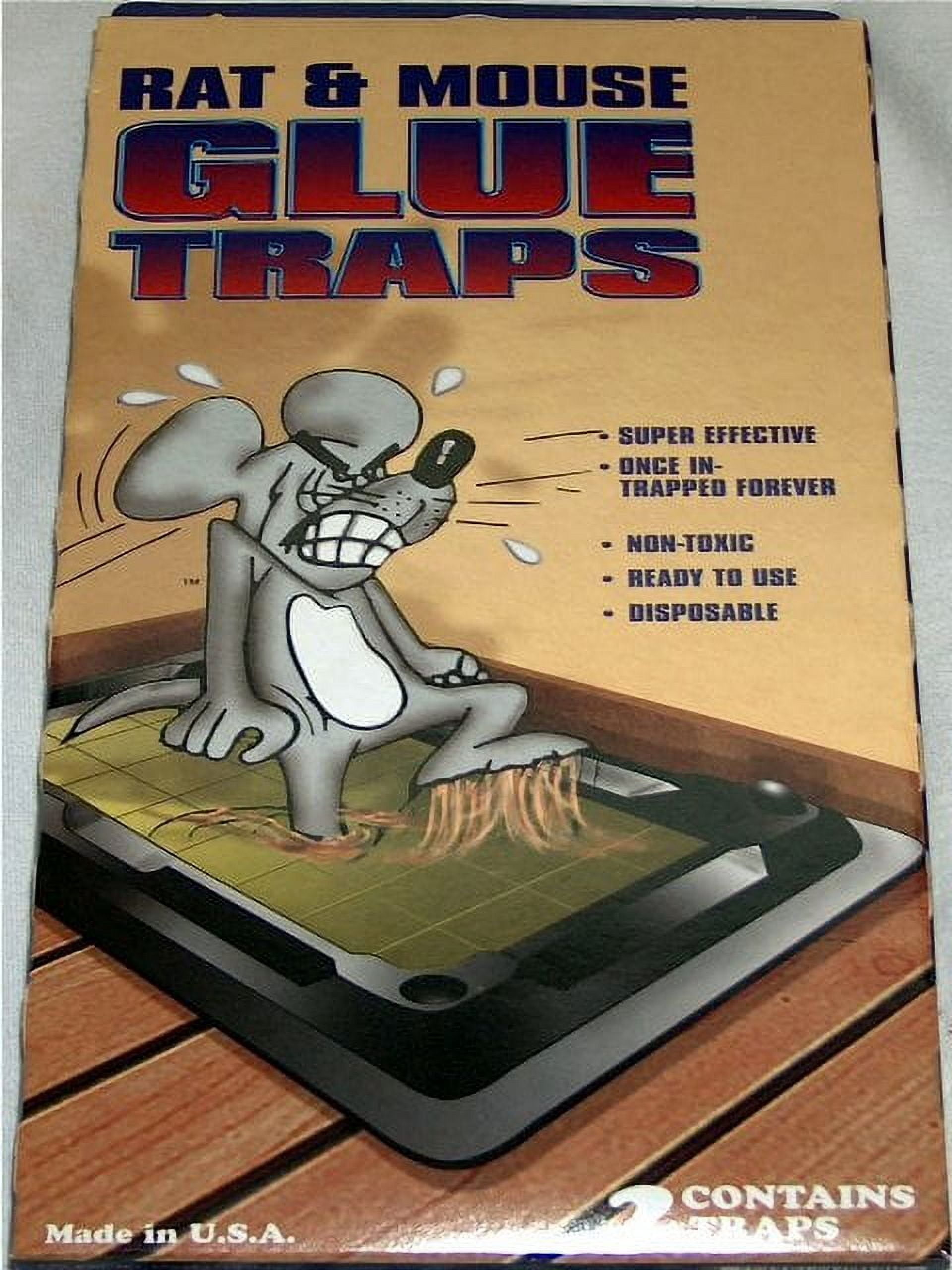 Atlantic Paste & Glue Dead End Rat Traps - 2 Pack, Pack of 12