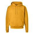 thumbnail image 1 of Hanes Ecosmart Hoodie Sweatshirt for Men Size up to 5XL, 1 of 5