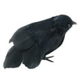 thumbnail image 3 of Realistic Crow Prop, Black Feathered Bird Stimulated Halloween Decoration, 3 of 3