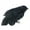 C, variant on Ealistic Crow Black Feathered Crow for Halloween Decorations Birds Toys 5.11in