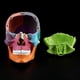 thumbnail image 2 of 15pcs/set 4D Disassembled Color Skull Anatomical Model Detachable Medical Teachi, 2 of 5