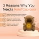thumbnail image 4 of Breathing Bear Baby Capybara Otter Plush Doll Toy Baby Kids Soothing Music Baby Sleeping Companion Sound and Light Doll Toy Gift, 4 of 5