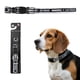 thumbnail image 1 of Collar NFL para perro raza mediana Las Vegas Raiders 100% oficial, 1 of 6
