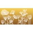 thumbnail image 2 of Koetsier, Albert 14x9 White Modern Wood Framed Museum Art Print Titled - Transparent Flora, 2 of 4